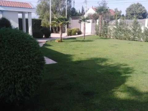 Izdavanje, kuća, 350m², Donji Kokoti, Podgorica - image 3