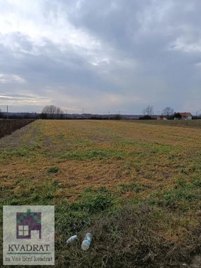 Prodaja, plac, 2500m², Zvečka, Obrenovac