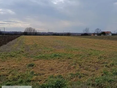 Prodaja, plac, 2500m², Zvečka, Obrenovac - image 4