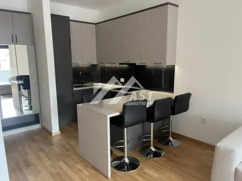 Izdavanje, dvosoban stan, 42m², Rotkvarija, Novi Sad Sve Podlokacije - image 2