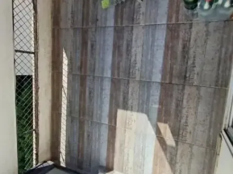 Sale, two bedroom apartment, 62m², Zemun Kalvarija, Zemun Sve Podlokacije - image 12