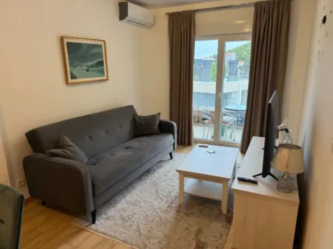 Rent, one bedroom apartment, 45m², Bijeli Do, Budva - image 4