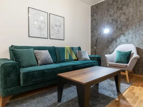 Izdavanje, dvosoban stan, 46m², Centar, Novi Sad - image 3