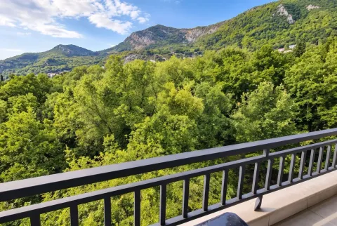 View from the balcony overlooking green forests and mountains. - image 6