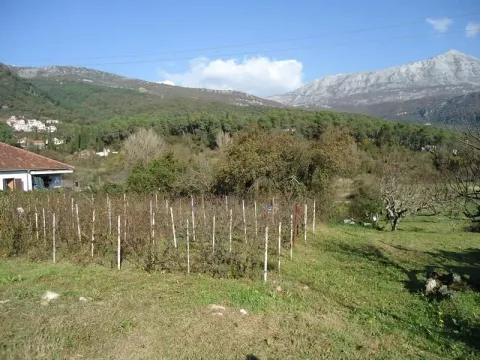 Prodaja, plac, 3636m², Sutorina, Herceg Novi - image 7