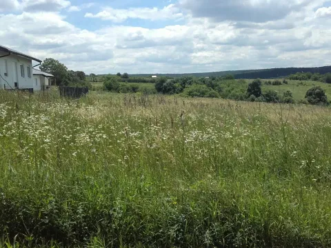 Prodaja, plac, 5870m², Sremčica, Beograd - image 3