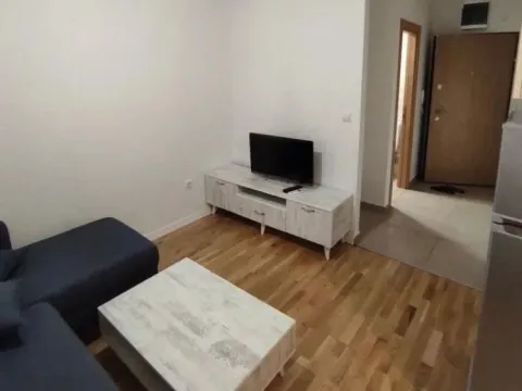 Rent, studio apartment, 20m², Zabjelo, Podgorica - image 4