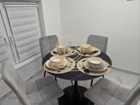 Rent, one bedroom apartment, 45m², Veternik, Novi Sad Sve Podlokacije - image 9