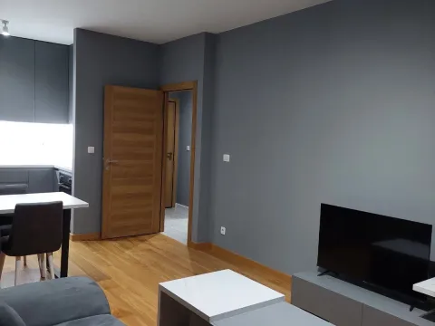 Izdavanje, jednosoban stan, 45m², New City, Podgorica - image 2