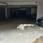 Izdavanje, jednosoban stan, 60m², Rozino, Budva - image 14