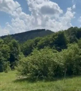 Prodaja, plac, 989m², Zlatibor, Srbija - image 9