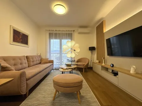 Izdavanje, jednosoban stan, 55m², Ljubović, Podgorica - image 10