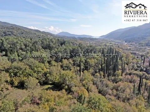 Prodaja, plac, 33385m², Sutorina, Herceg Novi - image 8