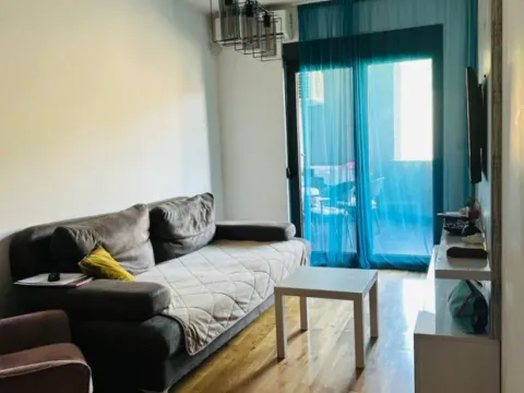 Izdavanje, jednosoban stan, 60m², Vezirov Most, Podgorica - image 4