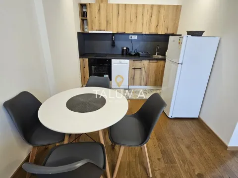 Izdavanje, jednosoban stan, 59m², Stara Varoš, Podgorica - image 3