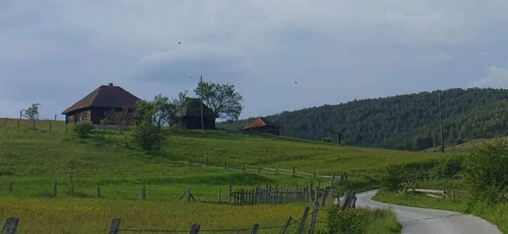 Prodaja, plac, 4000m², Centar, Zlatibor