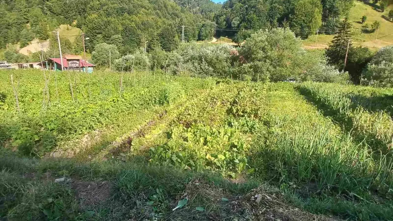 Prodaja, plac, 13266m², Podgorica, Crna Gora