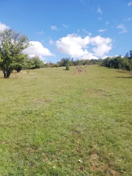 Prostrana zelena livada sa blagim nagibom okružena drvećem. - image 9