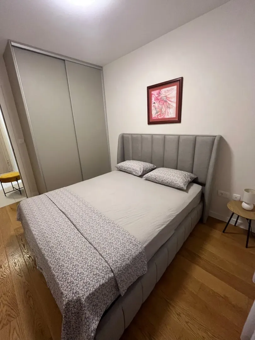 Izdavanje, jednosoban stan, 43m², Central Point, Podgorica