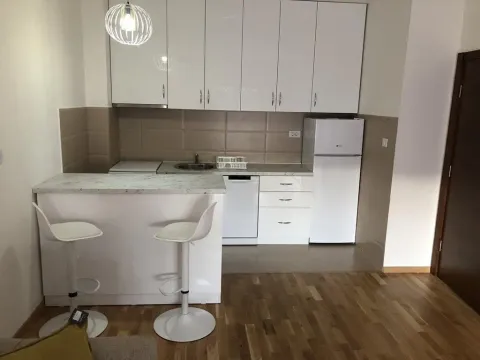 Izdavanje, jednosoban stan, 50m², Tuški Put, Podgorica - image 4