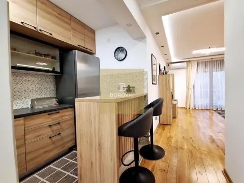Rent, two bedroom apartment, 50m², Lekino Brdo, Voždovac Sve Podlokacije - image 5