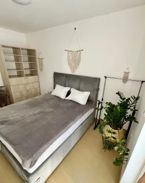 Furnished bedroom with a double bed, wardrobe, and decorative plants. - image 12