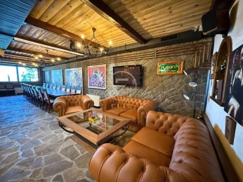 Prodaja, kuća, 318m², Sremska Kamenica, Petrovaradin - image 48