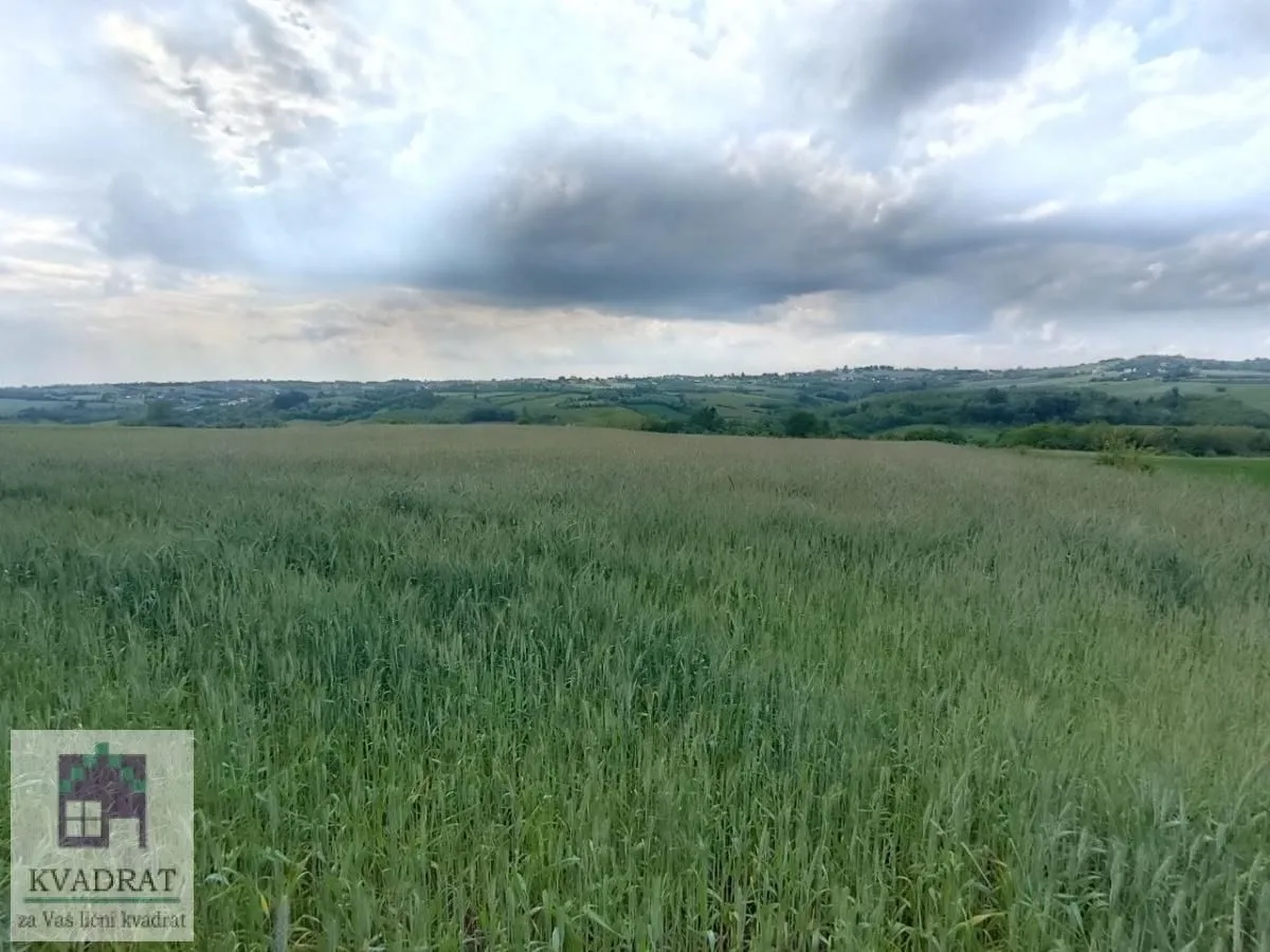 Prodaja, plac, 15000m², Jasenak, Obrenovac