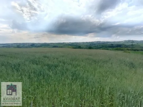 Prodaja, plac, 15000m², Jasenak, Obrenovac - image 4