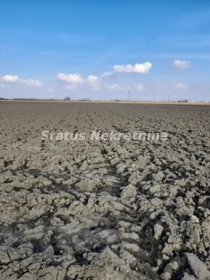 Prodaja, plac, 215m², Futog, Novi Sad Sve Podlokacije