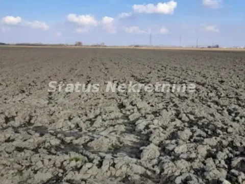 Sale, land lot, 215m², Futog, Novi Sad Sve Podlokacije - image 4