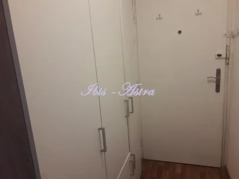 Izdavanje, stan, 23m², Cvijićeva, Palilula Sve Podlokacije - image 6