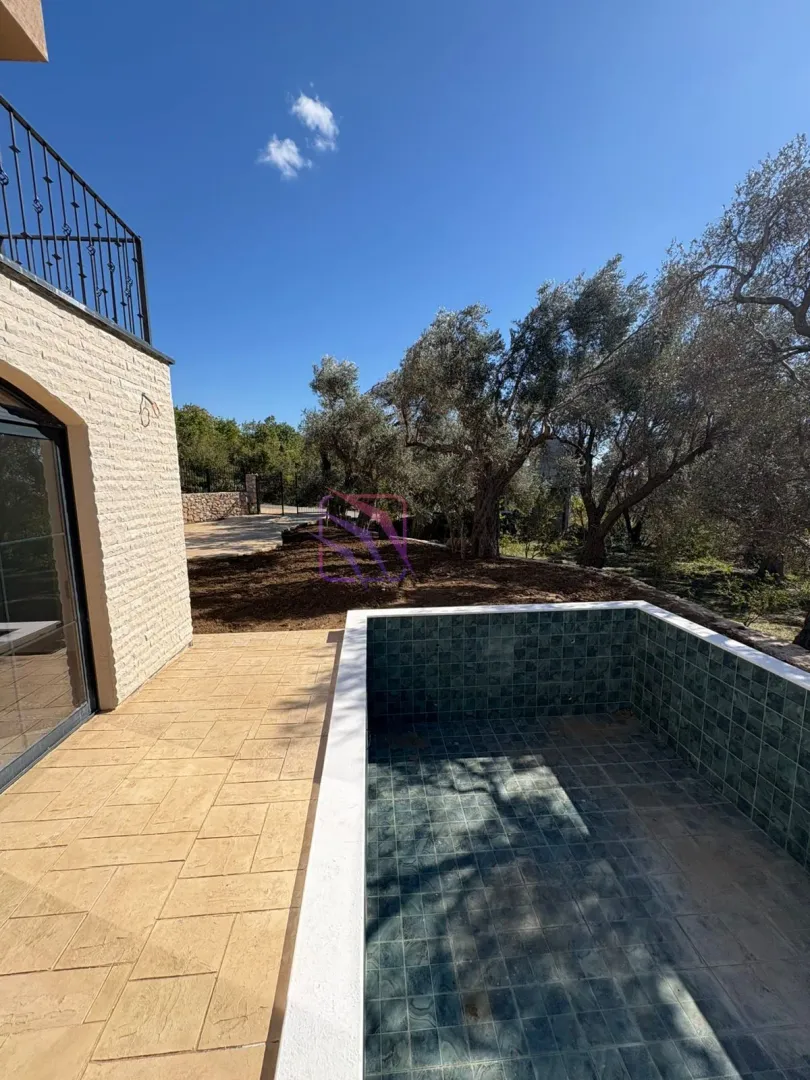 Yard with a swimming pool and olive trees in front of the house.