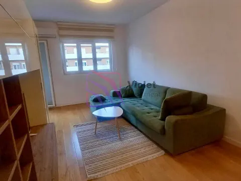 Izdavanje, jednosoban stan, 49m², Central Point, Podgorica - image 12