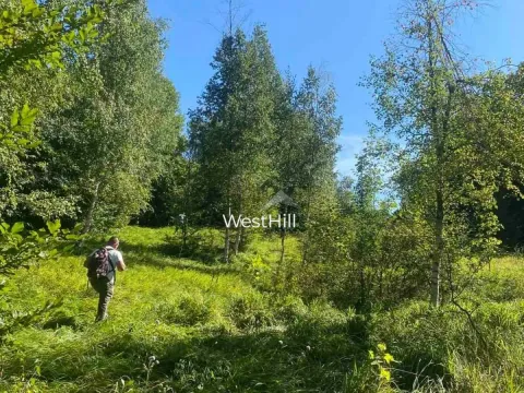 Prodaja, plac, 157000m², Kolašin, Crna Gora - image 2