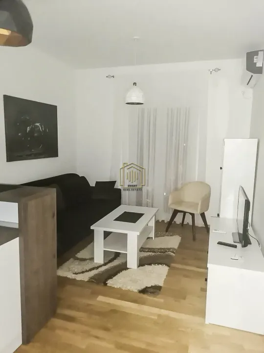 Rent, one bedroom apartment, 43m², Zabjelo, Podgorica