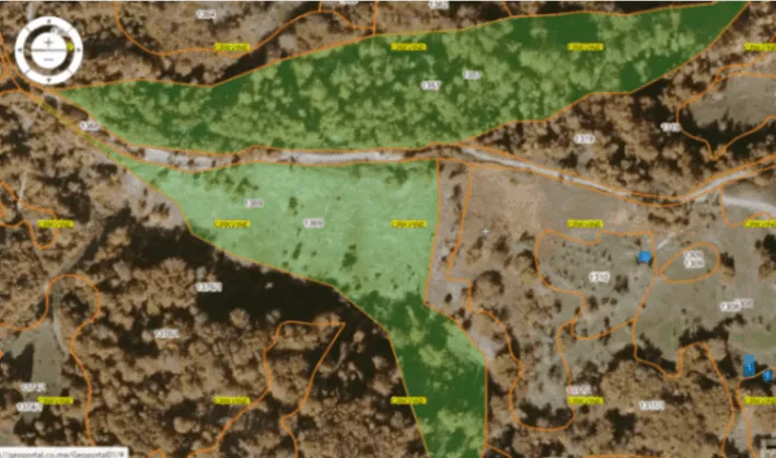 Prodaja, plac, 40000m², Žirci, Kolašin