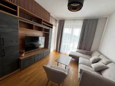 Prodaja, jednosoban stan, 45m², Zabjelo, Podgorica - image 2