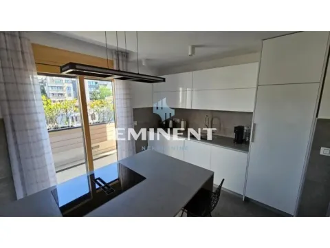 Izdavanje, stan, 240m², Vračar Hram, Vračar Sve Podlokacije - image 7