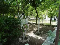 Prodaja, kuća, 71m², Orahovac, Kotor - image 9