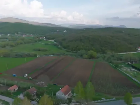 Prodaja, plac, 21000m², Rastovac, Nikšić - image 2