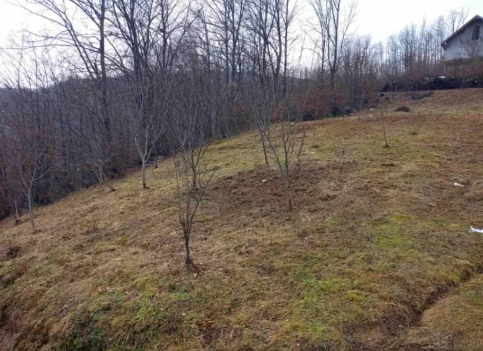 Sale, land lot, 800m², Rakonje, Bijelo Polje