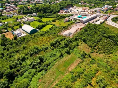 Prodaja, plac, 1940m², Lastva Grbaljska, Kotor - image 2