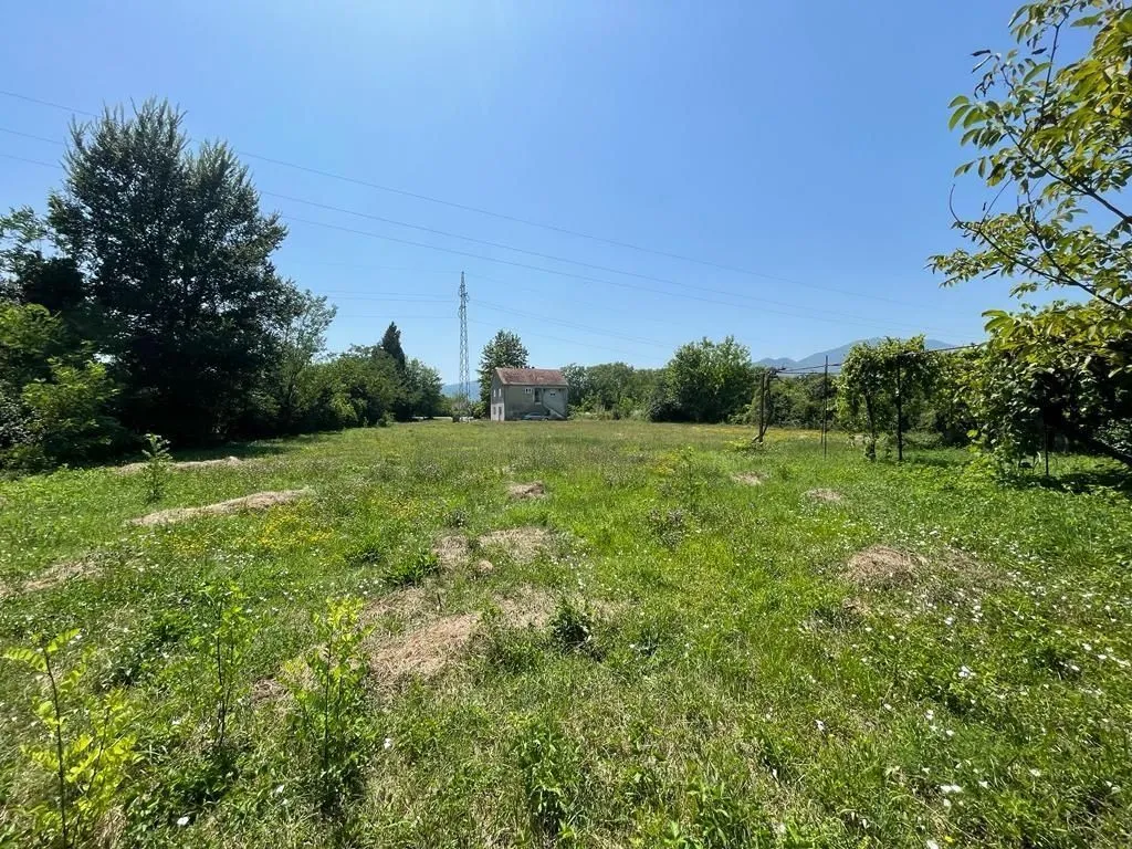 Prostrana zelena livada sa kućom u pozadini pod vedrim nebom.