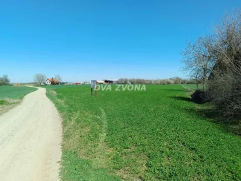 Prodaja, plac, 5100m², Centar, Inđija - image 4