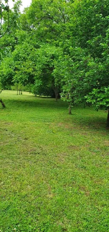 Sale, house, 360m², Irig, Srbija