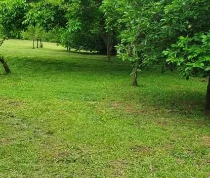 Prodaja, kuća, 360m², Irig, Srbija - image 20