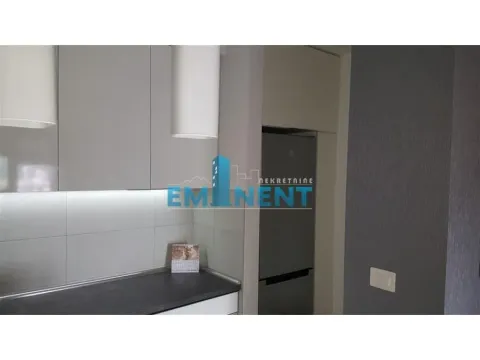 Izdavanje, dvosoban stan, 55m², Novi Beograd Blok 67, Novi Beograd Sve Podlokacije - image 4