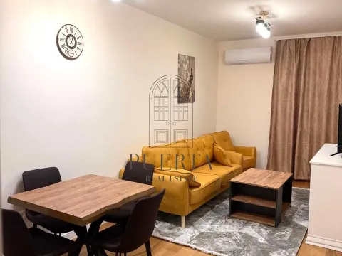 Rent, one bedroom apartment, 40m², Central Point, Podgorica - image 1