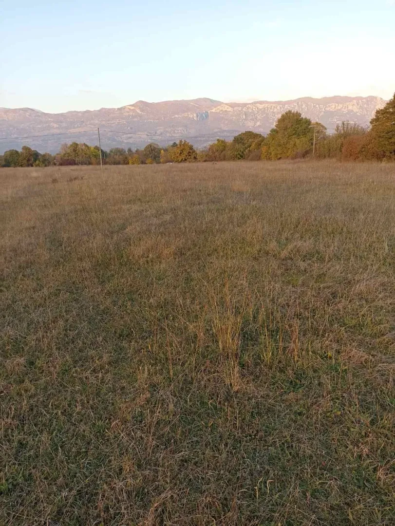 Prostrani travnati plac sa drvećem i planinama u pozadini.